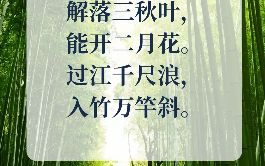 《风》唐诗三百首哔哩哔哩bilibili