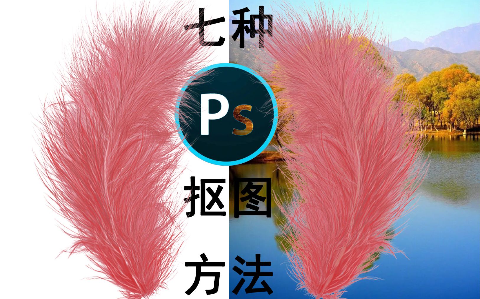 七种PS抠图方法,总有一种适合你哔哩哔哩bilibili