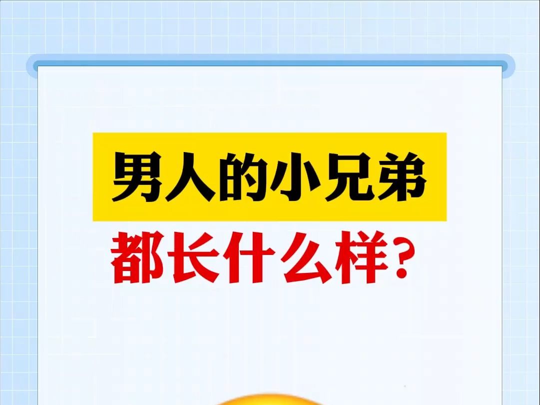 男人的小兄弟都长什么样?