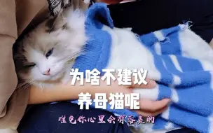 下载视频: 为什么不建议养母猫呢？