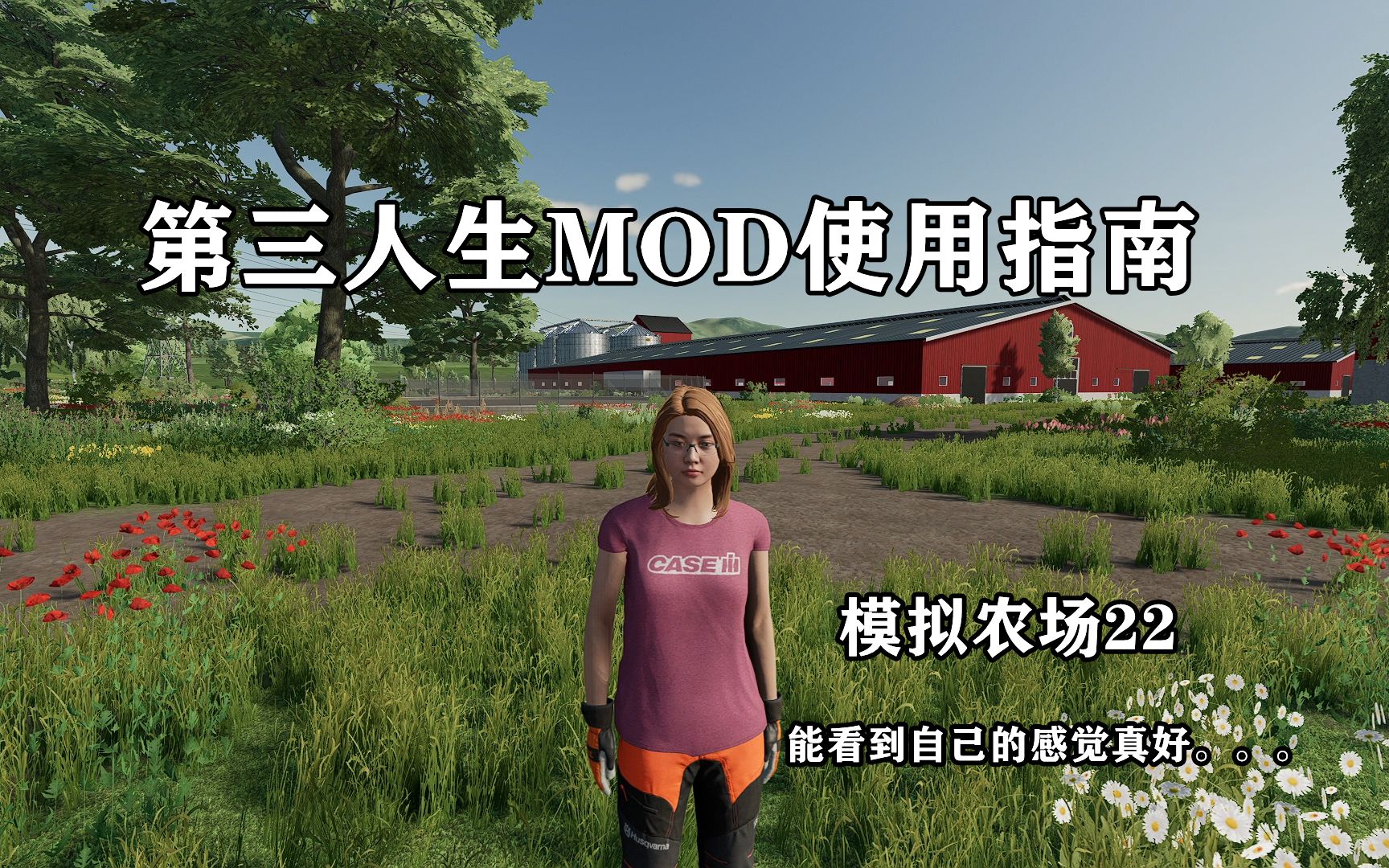 [图]模拟农场22-第三人称MOD使用指南