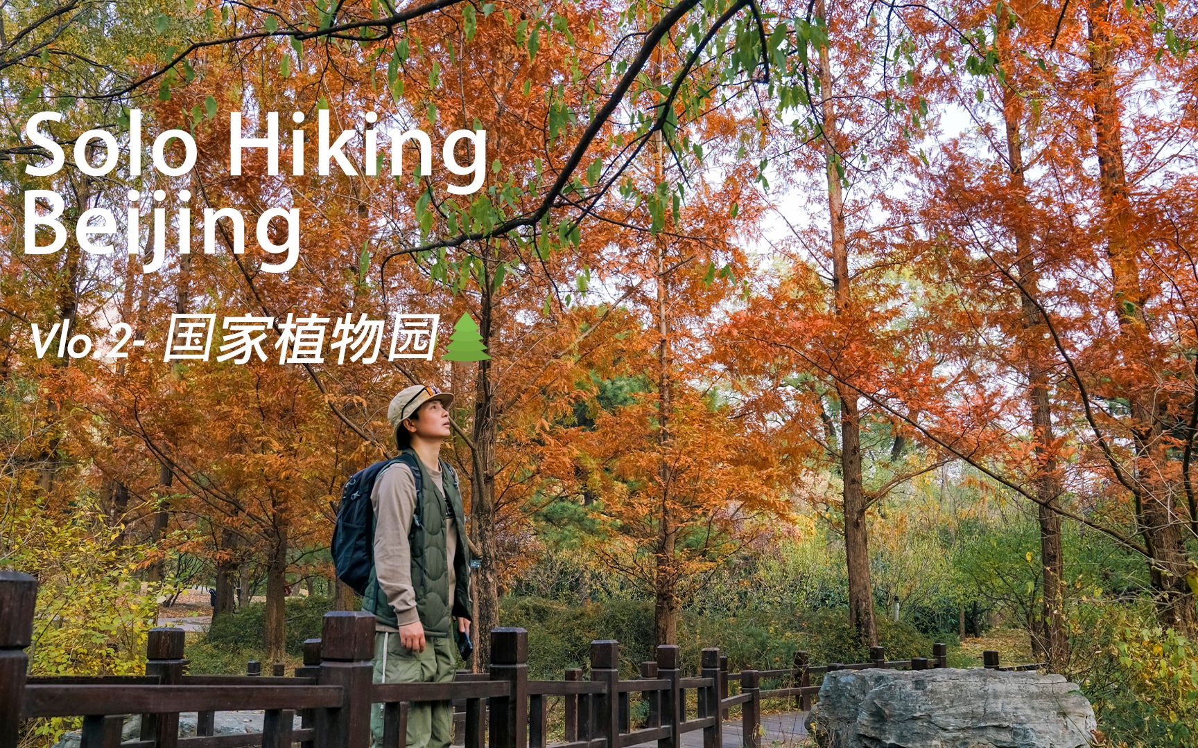 [图]北京徒步｜国家植物园🍂赏秋天花板