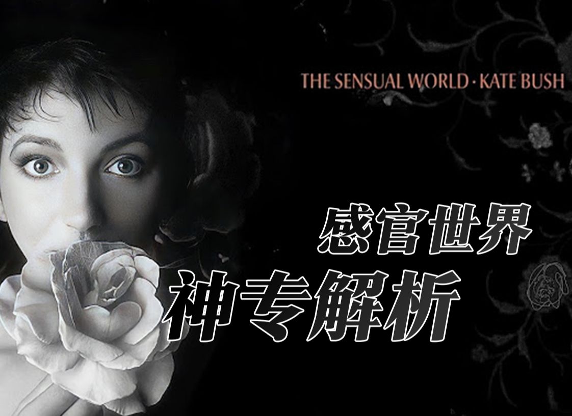 The Sensual World:比肩Hounds of Love的神作,Kate Bush的短篇音乐故事集,一期视频带你走进她的感官世界!哔哩哔哩bilibili