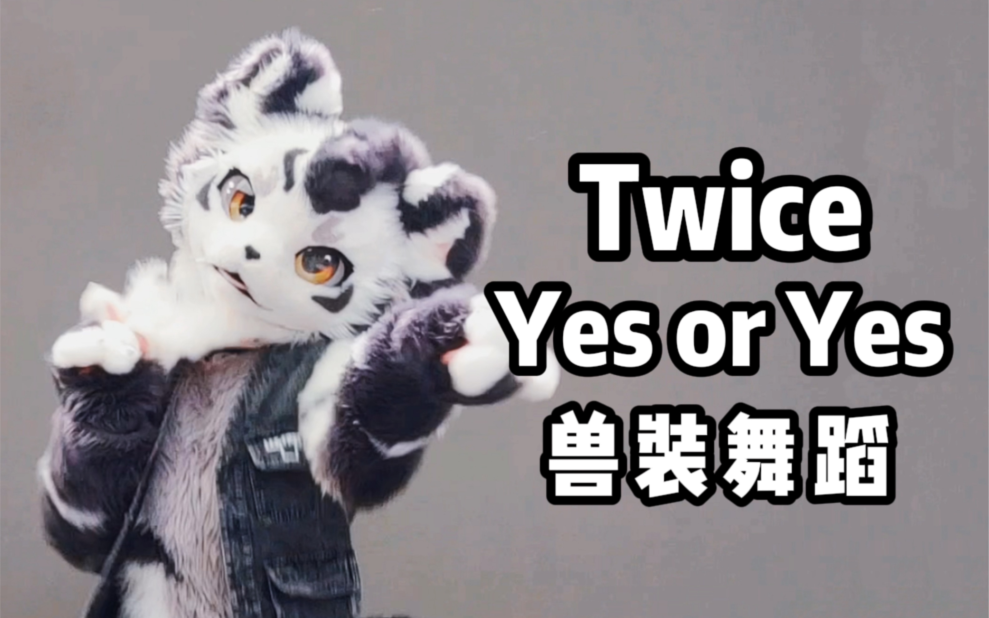 [图]炸裂了！！兽人翻跳Twice！！Yes or Yes 差点开线了【银碳】【兽装舞蹈】