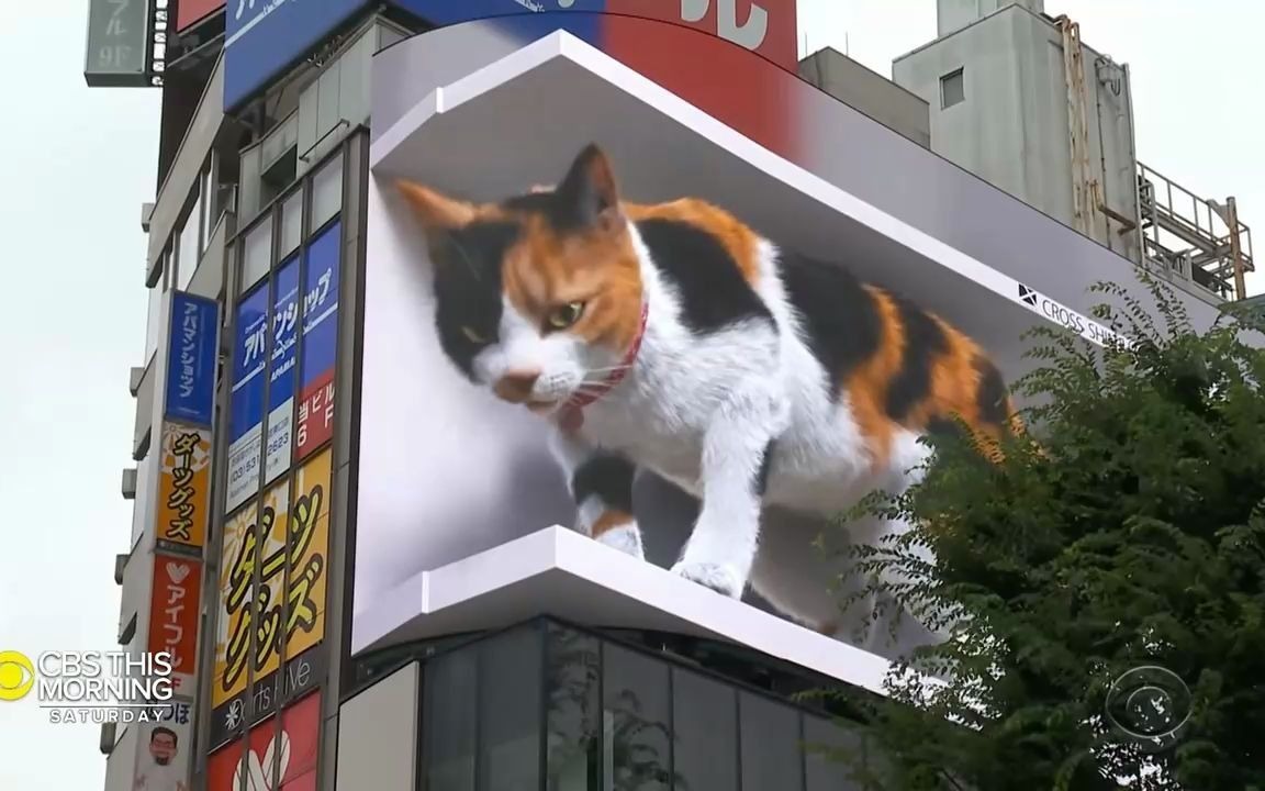 东京街头出现巨大的3d的小猫咪