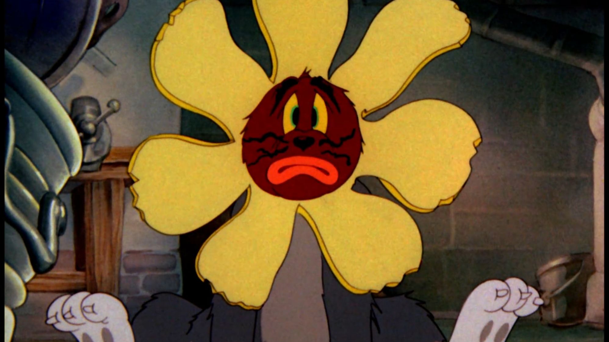 我是朵人间富贵花