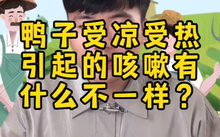 鸭子受热受凉引起的咳嗽区别是什么?哔哩哔哩bilibili