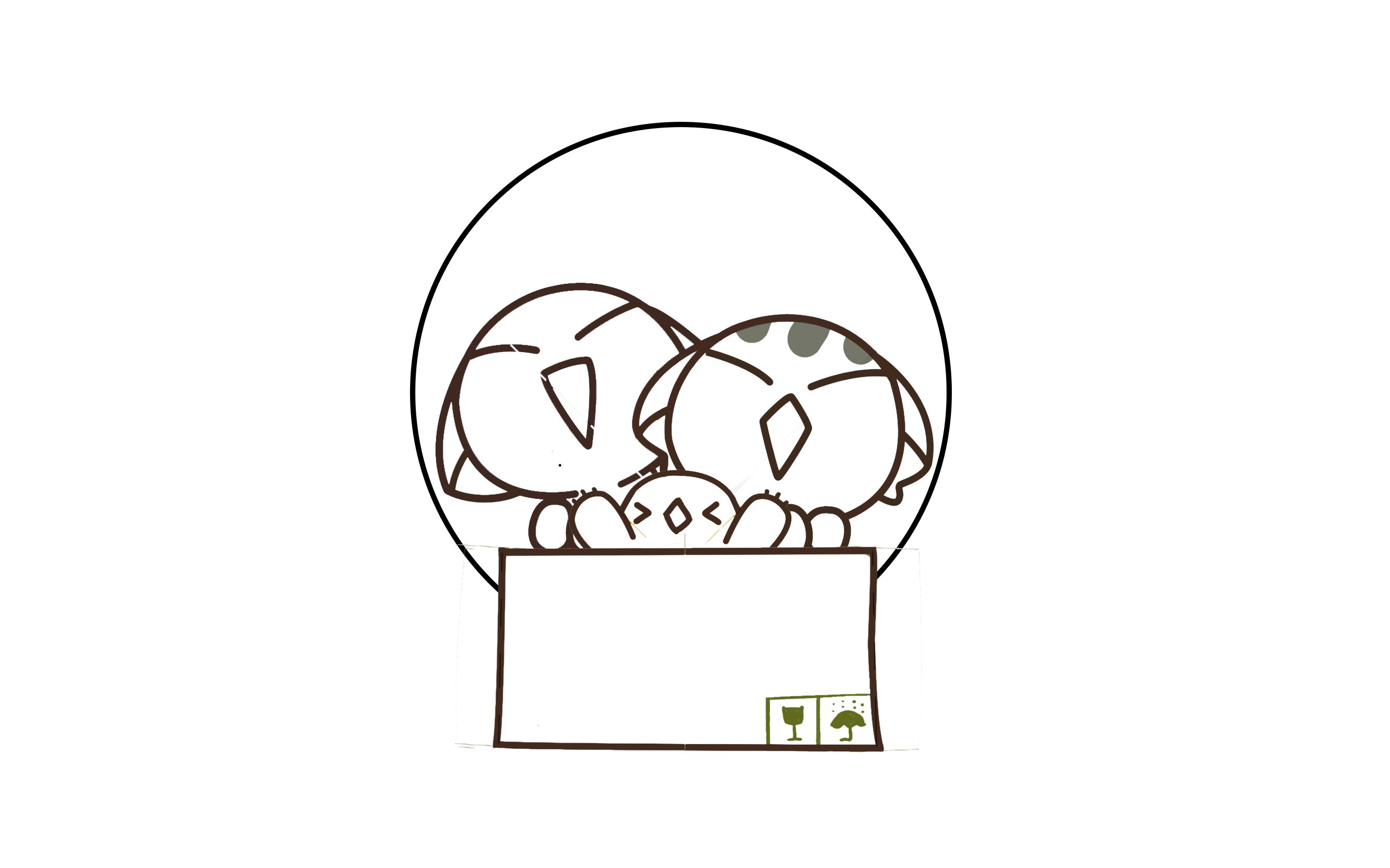 【教程 4.5】猫猫探头