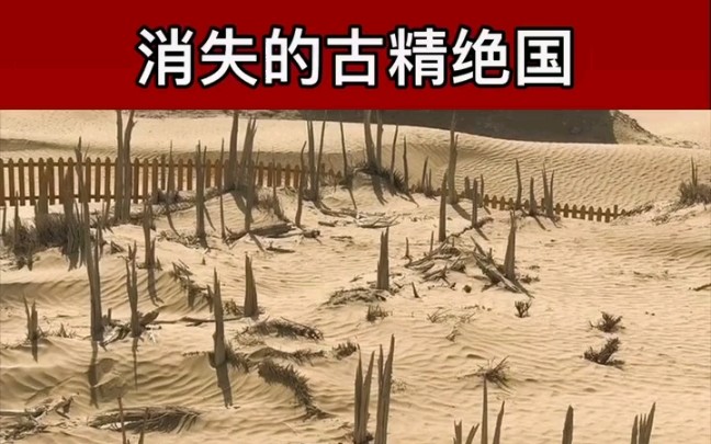 古精绝国消失的的原因,没错,《鬼吹灯》里的精绝古国是真实存在的哔哩哔哩bilibili