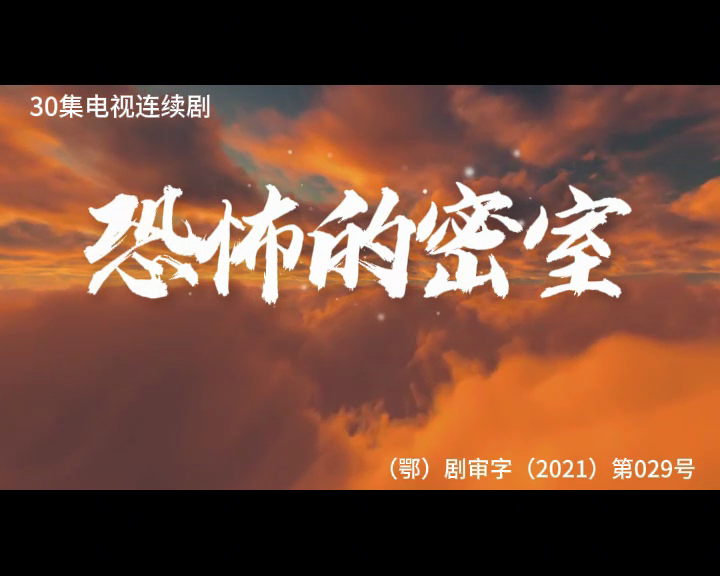 恐怖的密室 30集