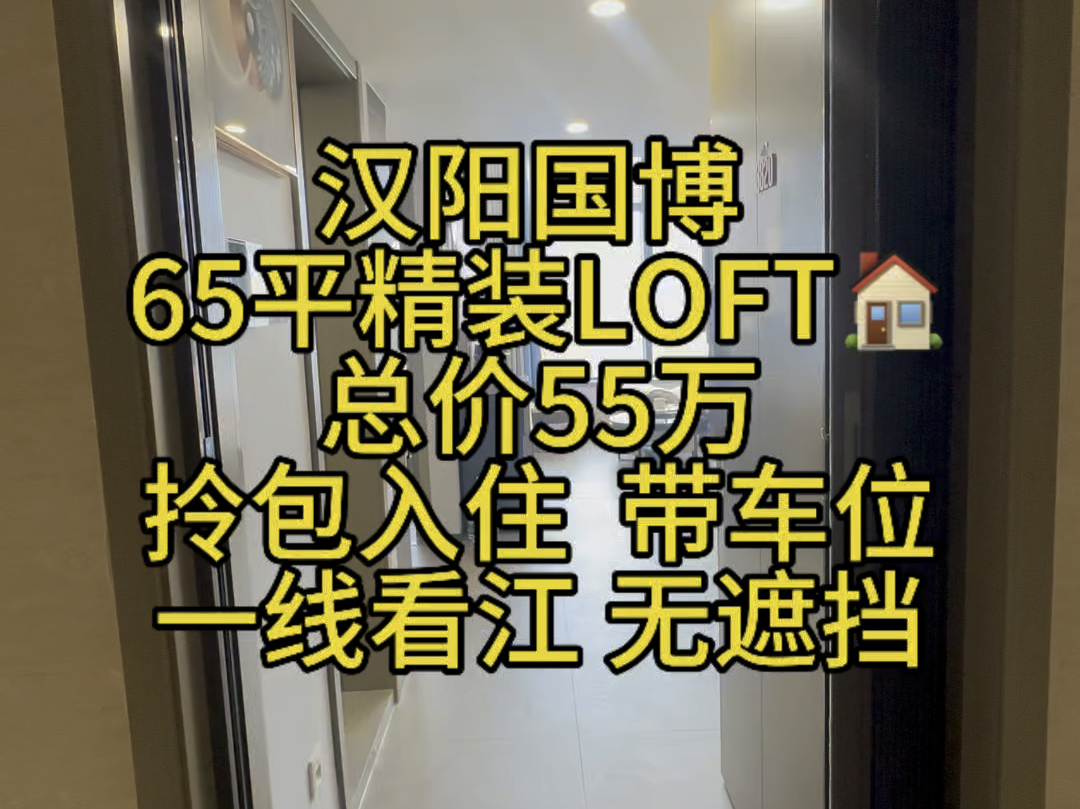 总价55万 二环边65平精装江景LOFT.哔哩哔哩bilibili