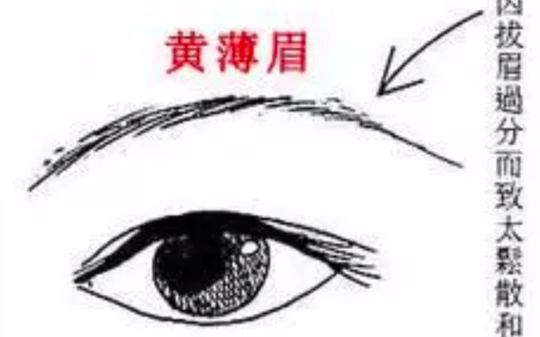 "黄薄眉"有哪些特征?什么样的眉毛是"黄薄眉"?