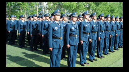 国外问卷调查免费教学,一分不收,纯纯免费教学哔哩哔哩bilibili