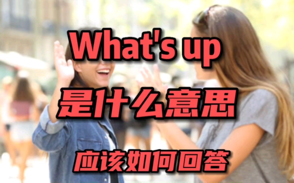 What's up是什么意思哔哩哔哩bilibili