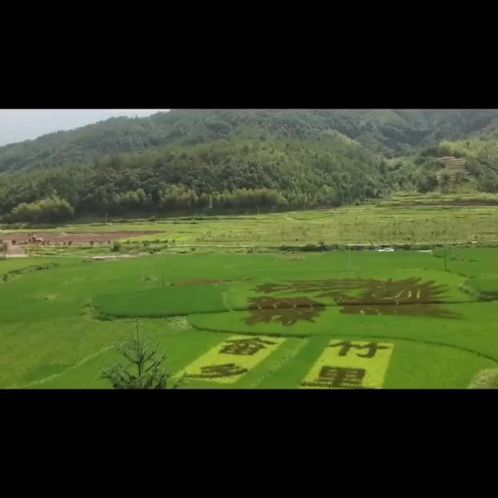 [图]畲族歌中国梦畲家情凤凰装畲族风情山哈人少数民族的魅力DOU小