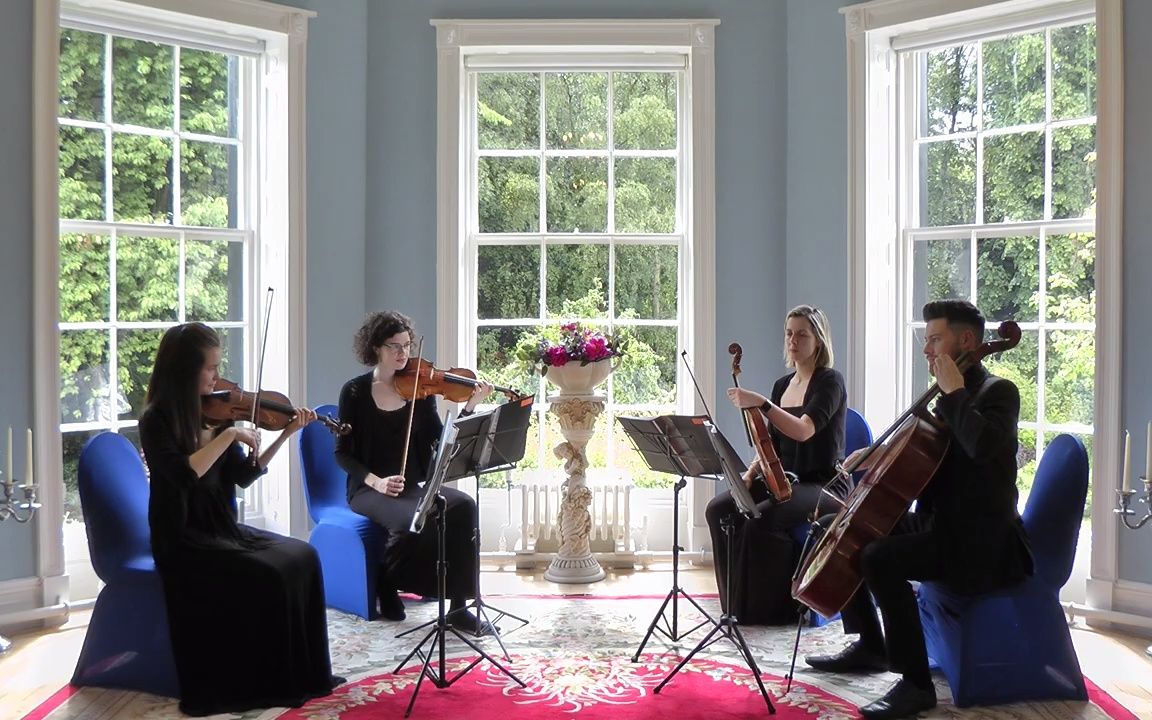 [图]Canon in D (String Quartet) Johann Pachelbel (D大调卡农）