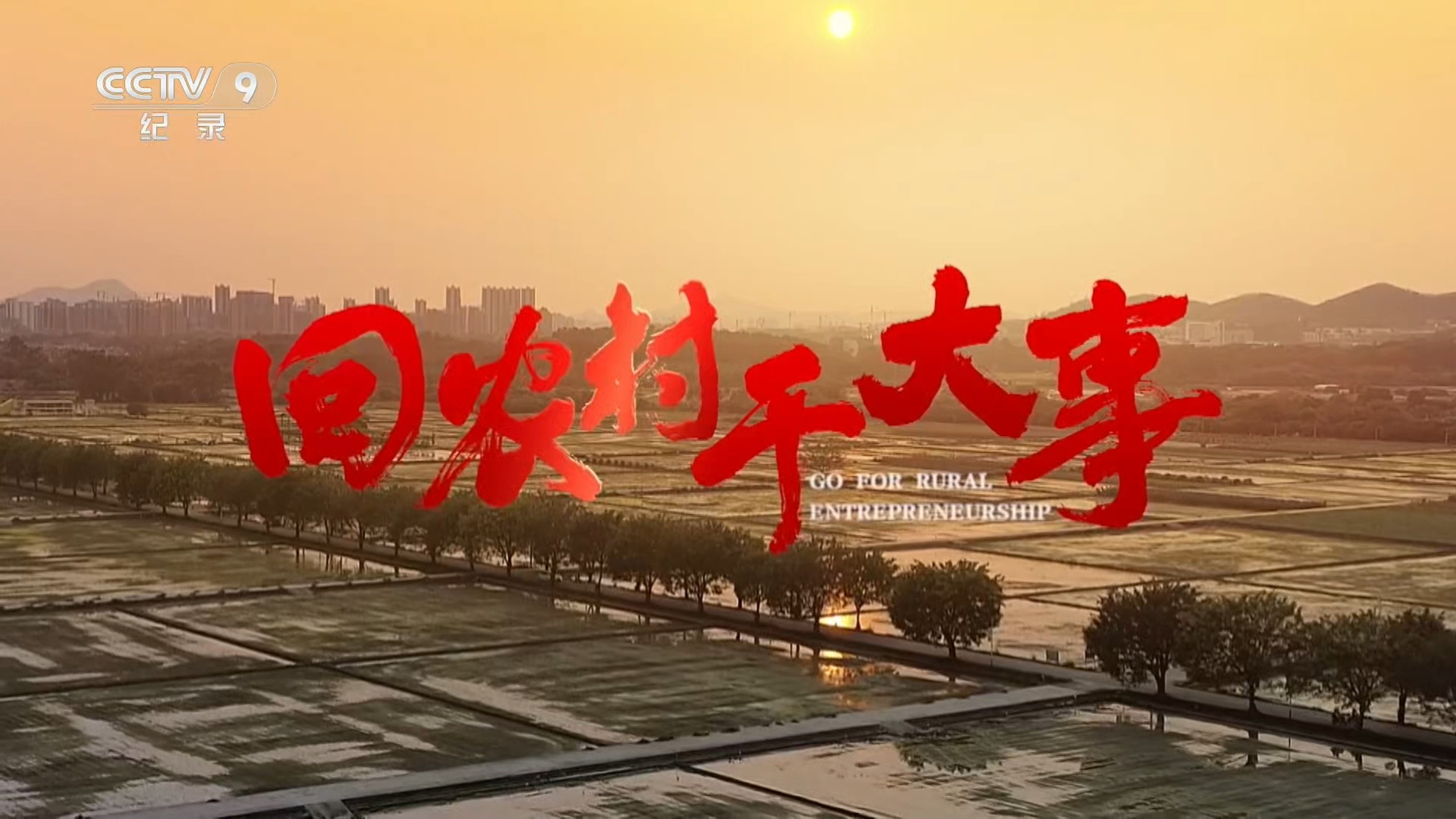 CCTV9纪录片《回农村干大事》