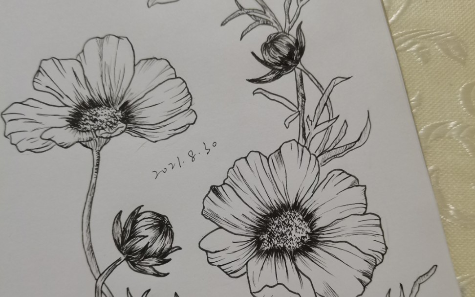 最近两天临摹的有趣滴画(纯线稿)