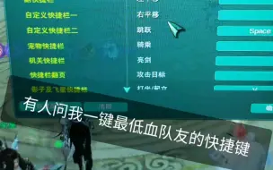 Download Video: 剑网三奶毒划水必看－剑心插件一键最低血队友，让你F的非常快乐