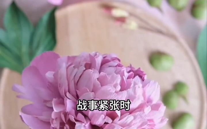 公主暴戾1哔哩哔哩bilibili