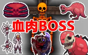 Download Video: 【泰拉瑞亚】San值速降--血肉BOSS盘点