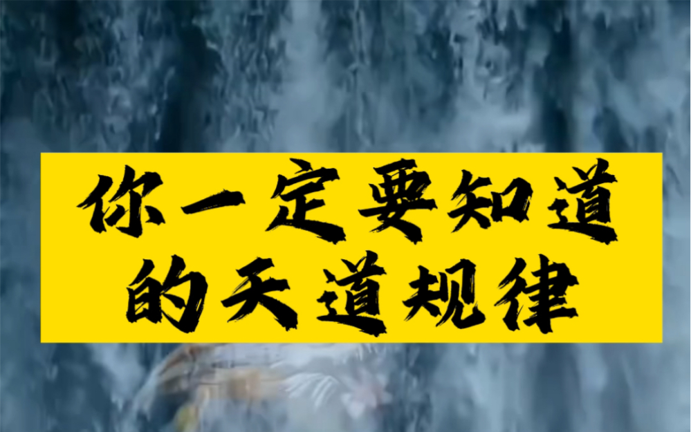 你一定要知道的天道规律!哔哩哔哩bilibili