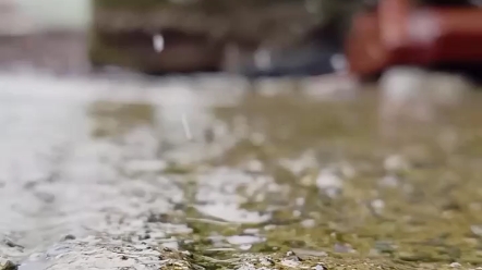 [图]雨点在天空中追逐 在树叶上跳舞 在花瓣上捉迷藏 在小溪里奔跑 雨点敲打着你的窗户 轻拍着你的花 伞在天地间奏响着大自然的交响曲