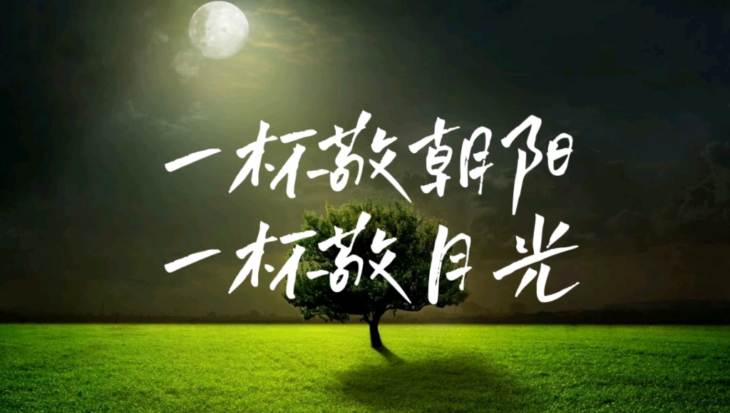 吉他演奏一杯敬朝阳一杯敬月光