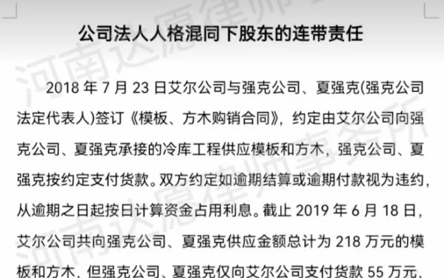 公司法人人格混同下股东承担连带责任哔哩哔哩bilibili