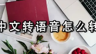 中文转语音怎么转