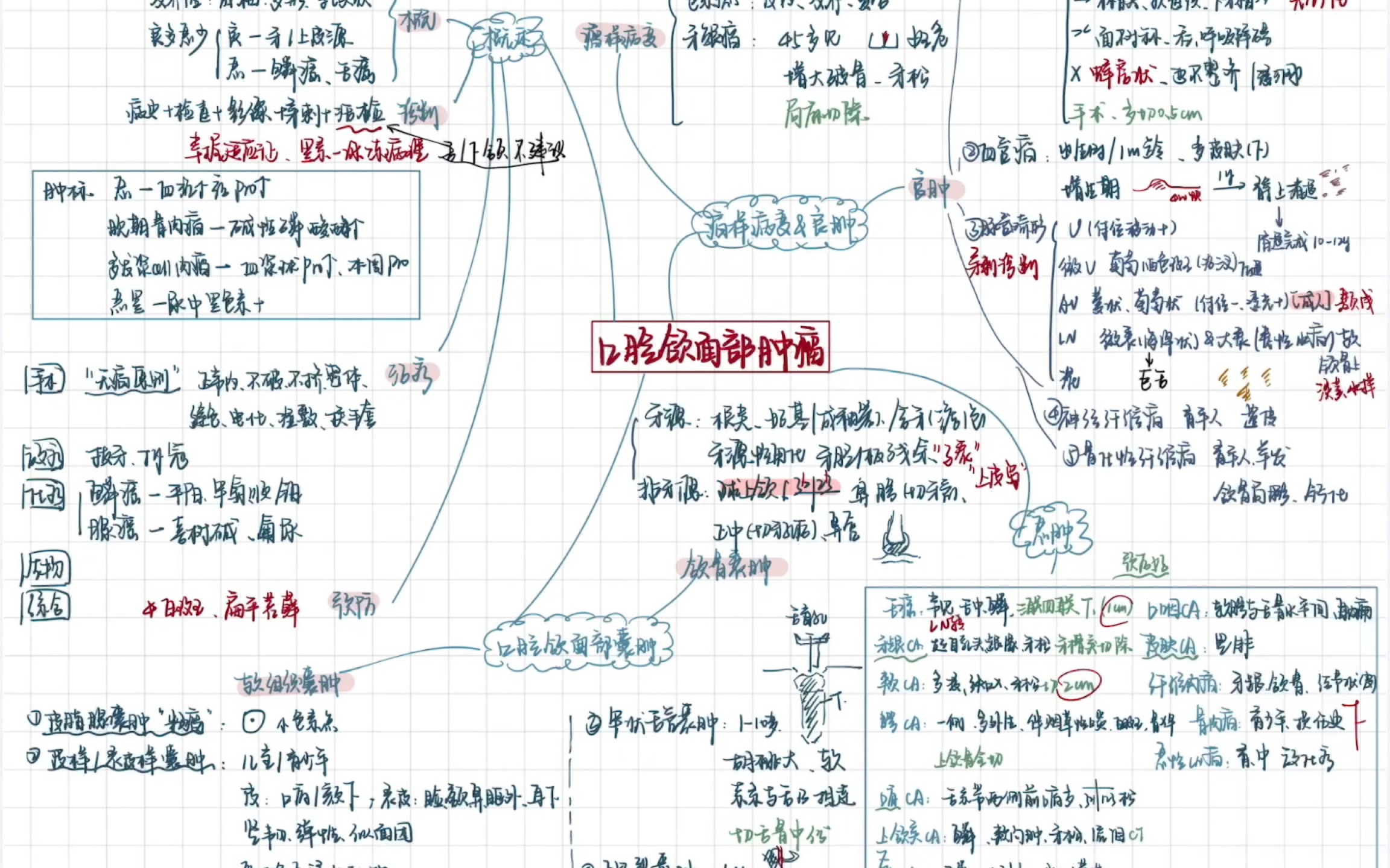 口腔医学思维导图(手写版略潦草)