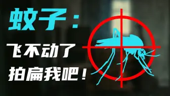 如果强迫蚊子一直飞，它究竟能坚持多久
