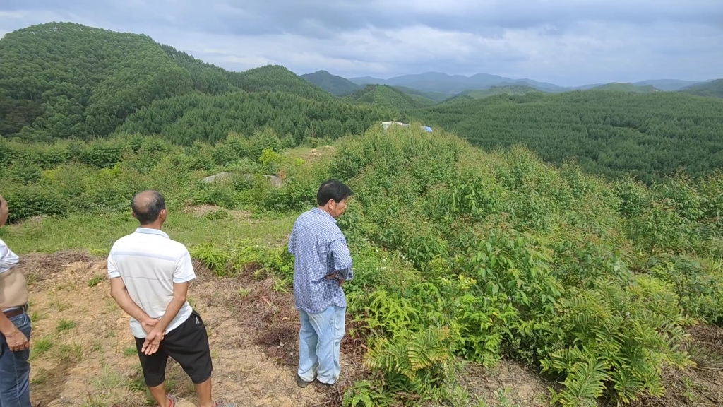 文案前横,宝山园润!这地不出文贵还有地吗!哔哩哔哩bilibili