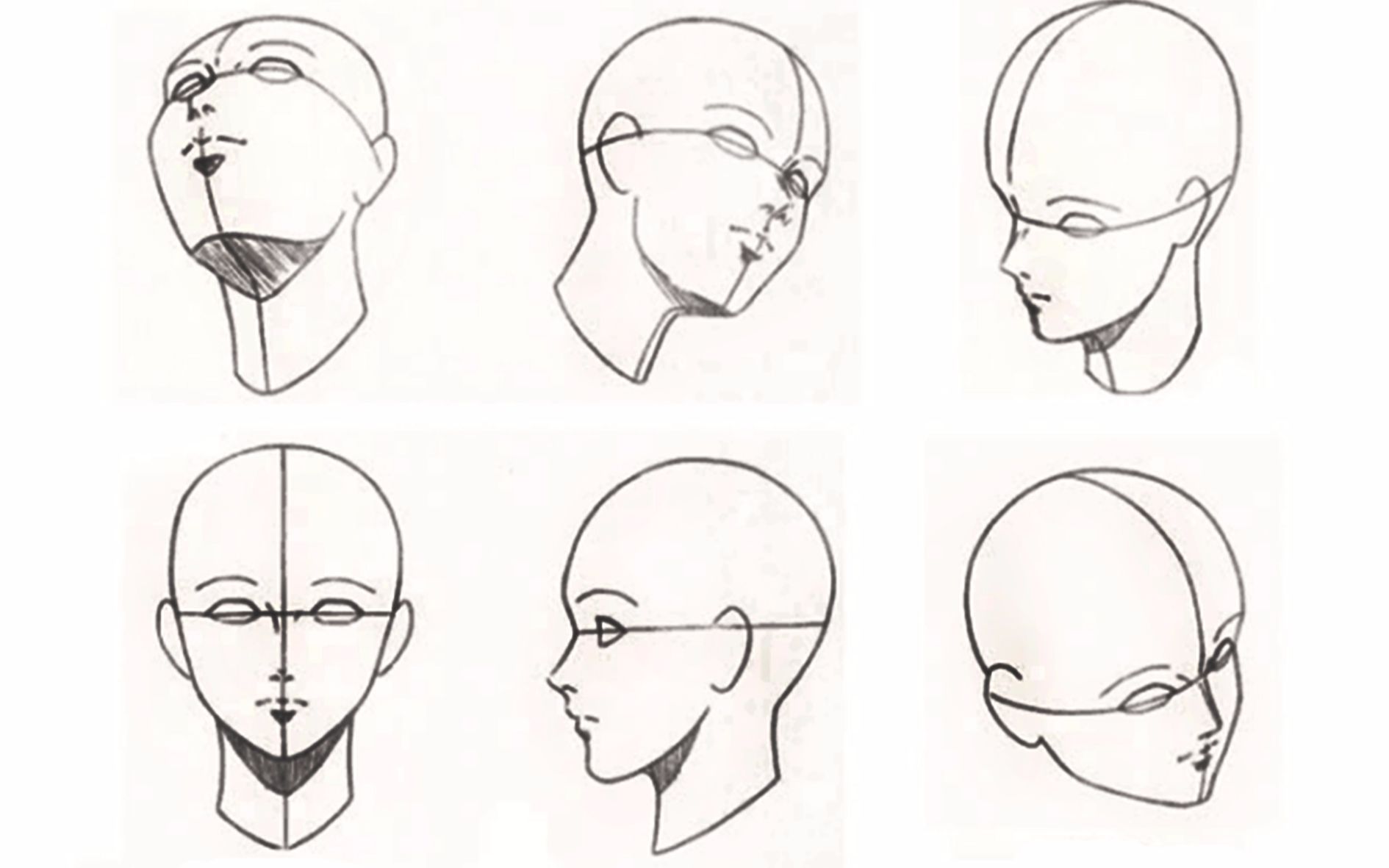 新手向零基礎初學入門畫漫畫頭部教程學習漫畫頭部畫法各種角度的頭部