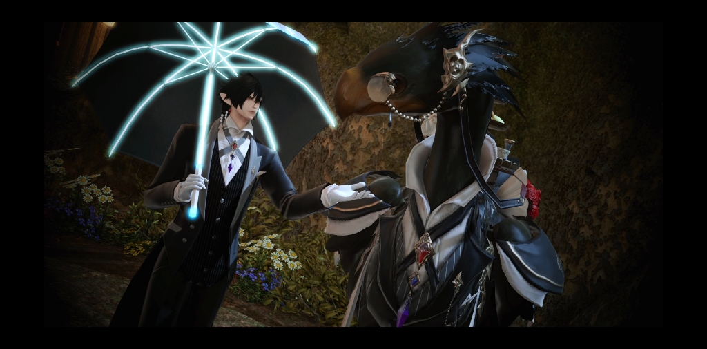 ff14笨蛋男精的陆行鸟染色事件