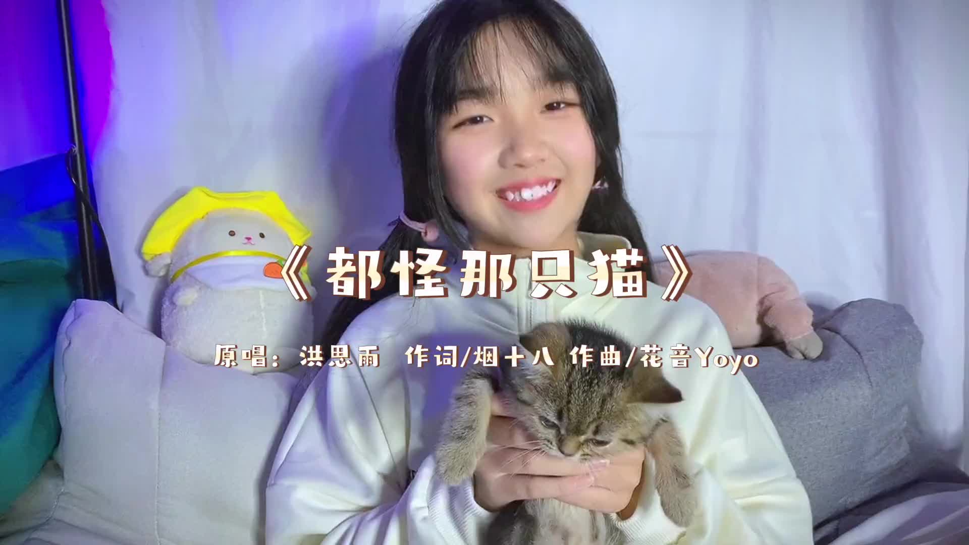 [图]都怪那只猫哪只猫檐上猫么hhh