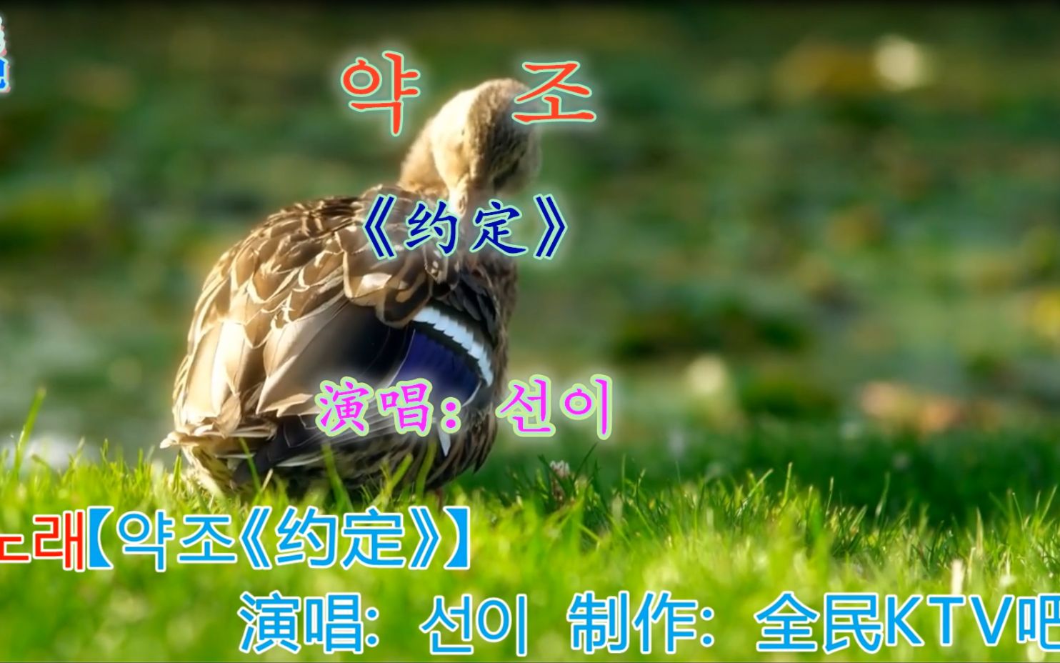 韩国歌曲《约定》,朝鲜族小姐姐演唱