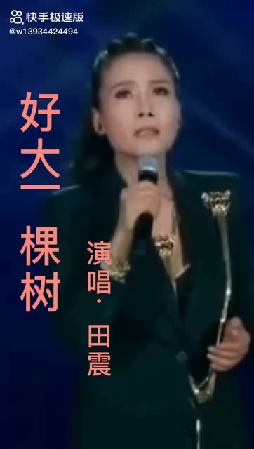《好大一棵树》田震的经典歌曲.