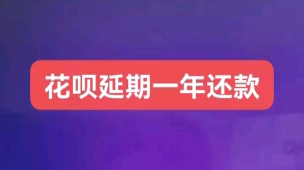 花呗借呗延期一年后还款[庆祝][庆祝]哔哩哔哩bilibili