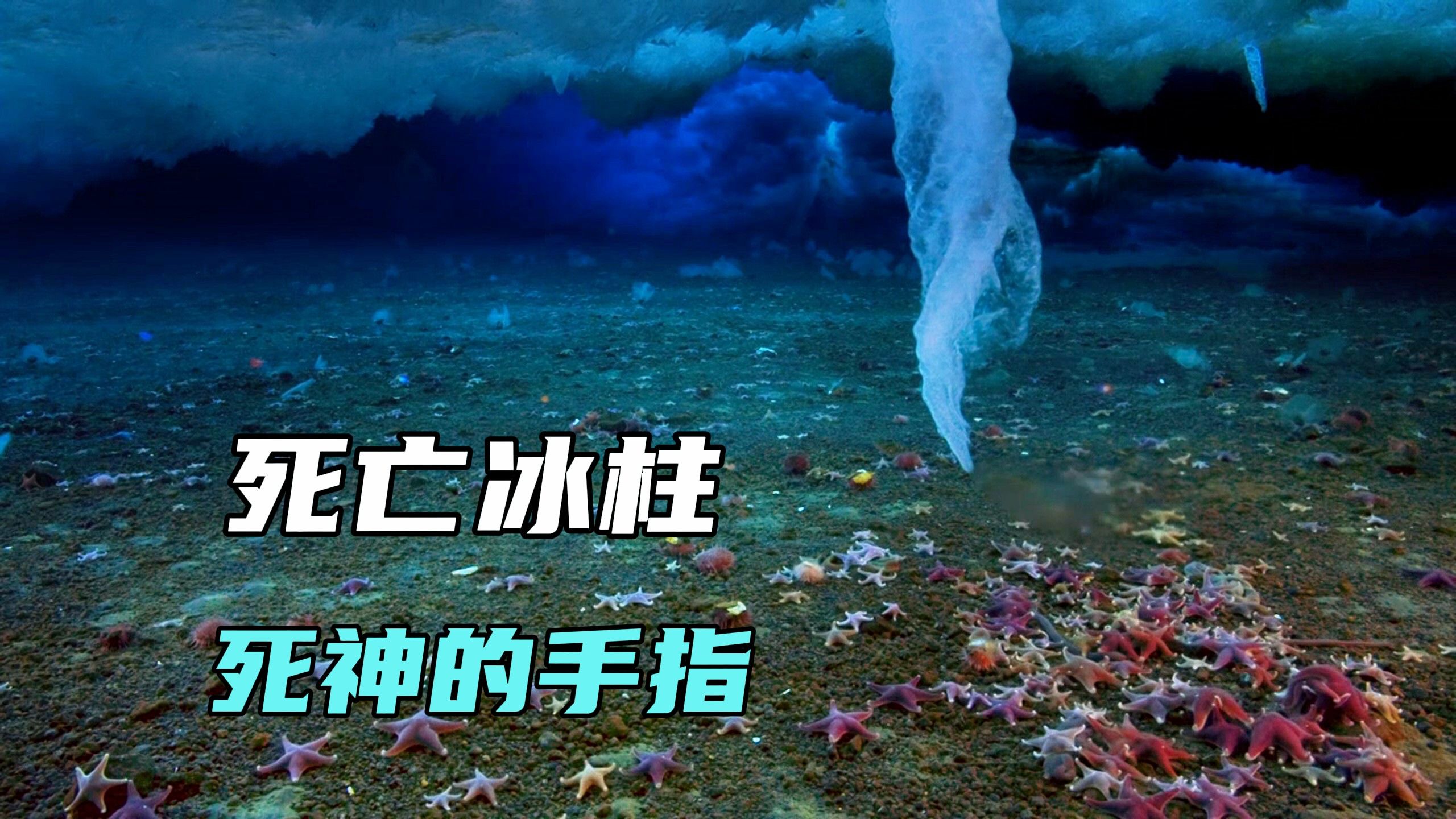 海底的死亡冰柱，所有触碰的生物都难逃劫难，直到一道阳光的出现。-大自然奇观-大自然奇观-哔哩哔哩视频