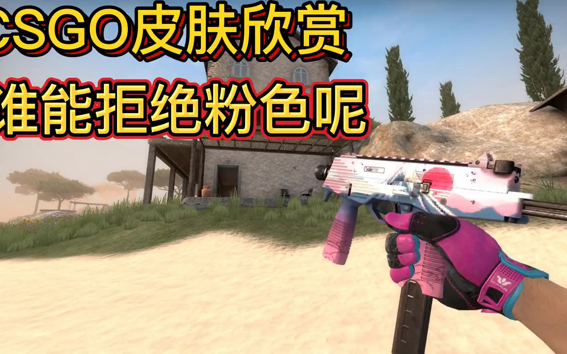 csgo皮肤欣赏 没人能拒绝粉色系吧