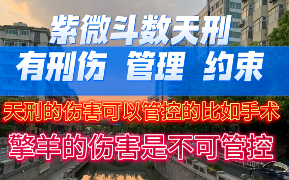 紫微斗数天刑,代表刑伤,管理,手术,约束等,天刑是可管控的伤害,擎羊是不可管控的伤害哔哩哔哩bilibili