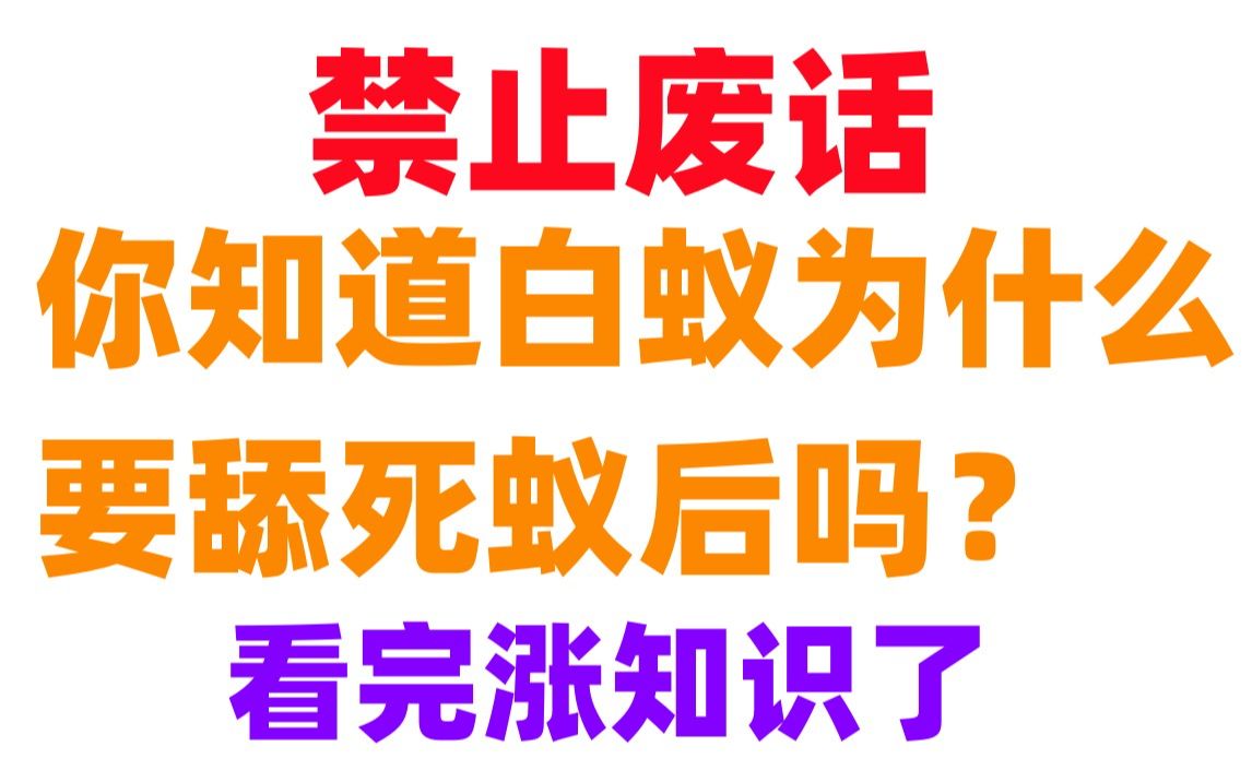 【零废话】你知道白蚁为什么要舔死蚁后吗?看完涨知识了哔哩哔哩bilibili