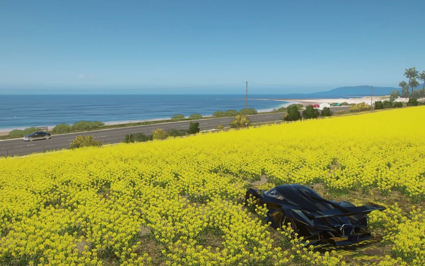 地平线4 海边的油菜花--周五----周五---哔哩哔哩视频