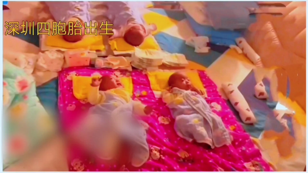 深圳四胞胎降临:喜忧参半的挑战
