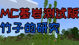 Minecraft猫熊 我的世界手机版出新版了 最新测试版更新国宝熊猫 Beta1 8 0 8 哔哩哔哩 Bilibili