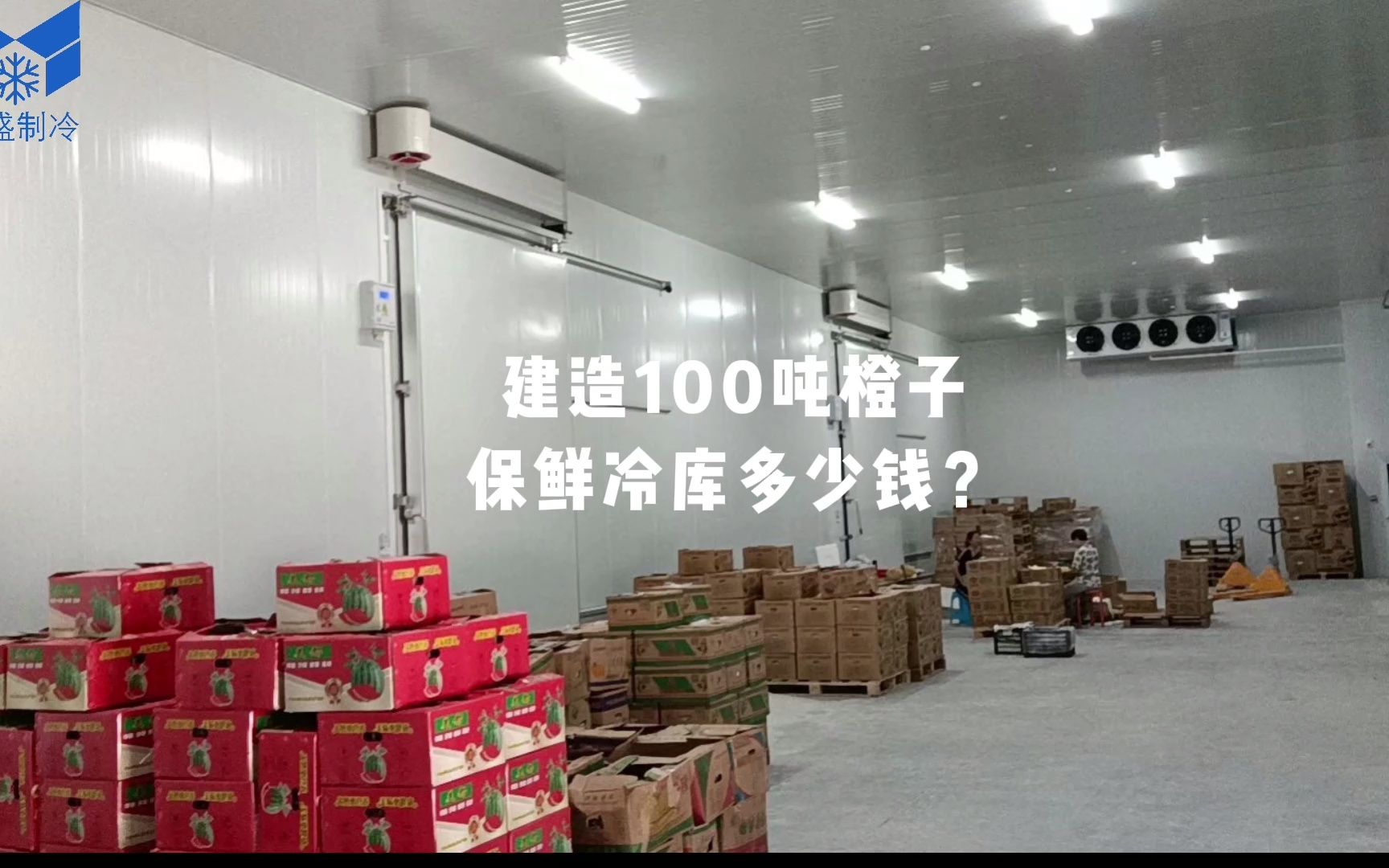 建造100吨橙子保鲜冷库多少钱?哔哩哔哩bilibili