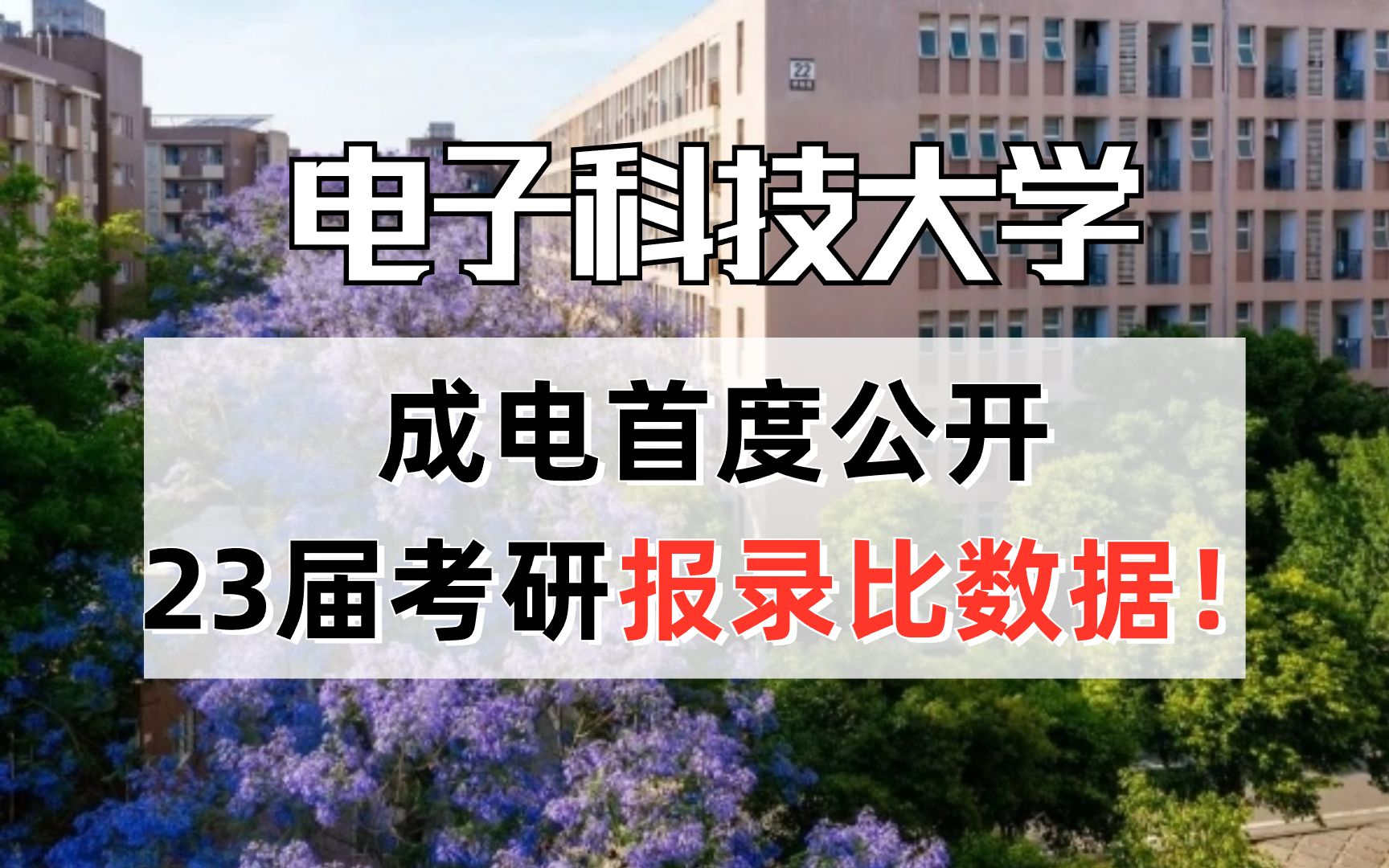 重磅消息!成电首度公开了23届考研报录比数据!哔哩哔哩bilibili