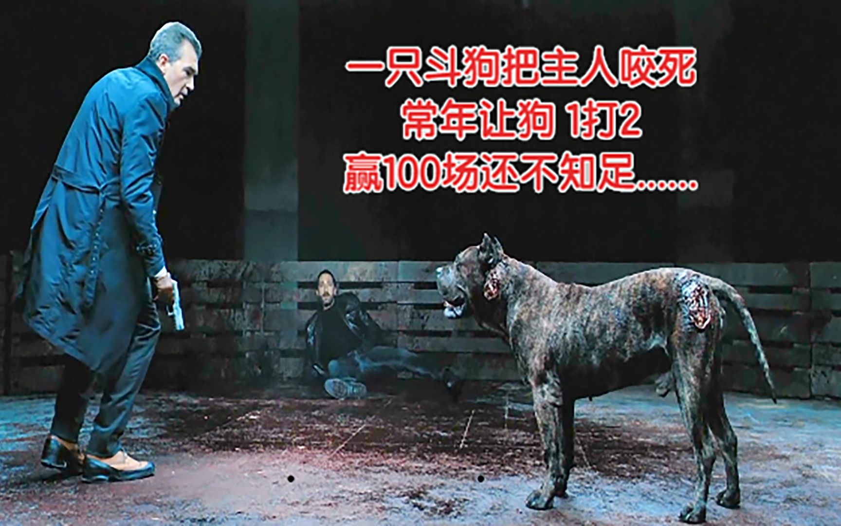 一只斗狗把主人咬死,常年让狗1打2,赢100场还不知足