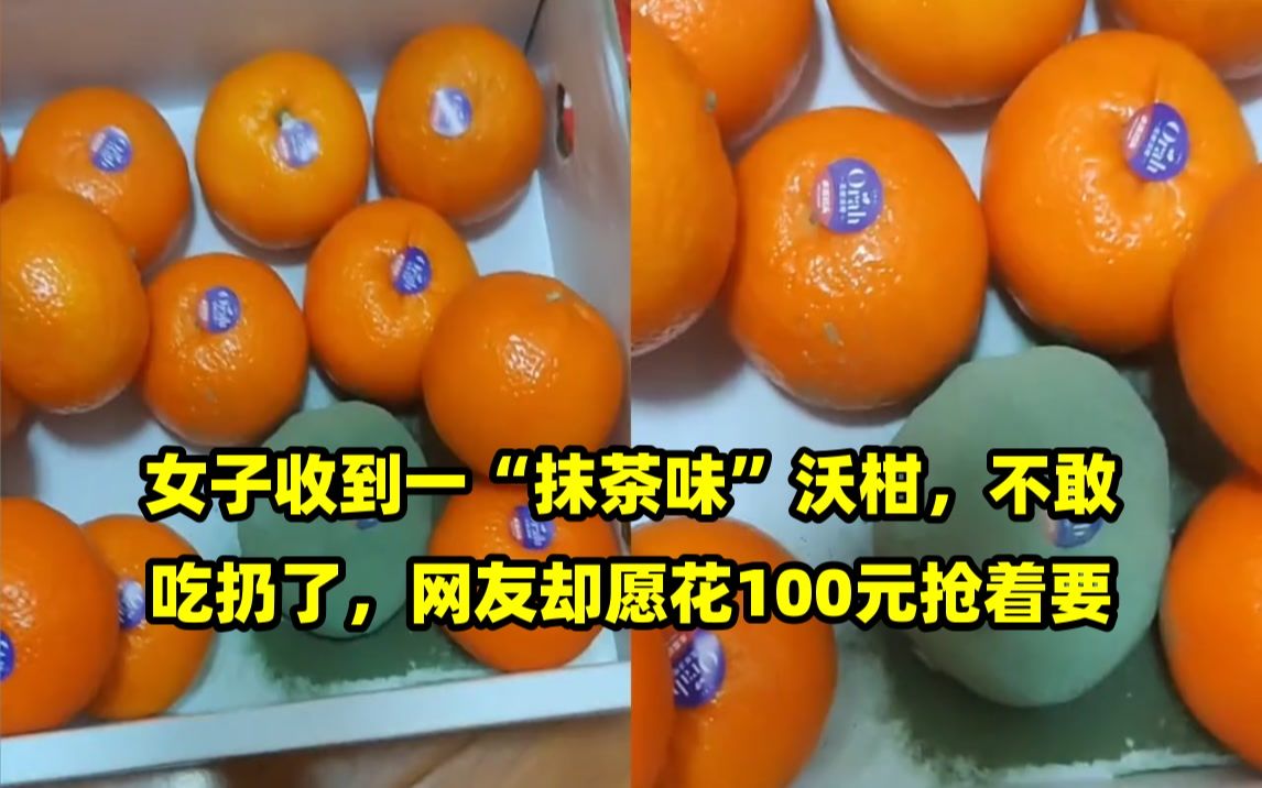 女子收到一"抹茶味"沃柑,不敢吃扔了,网友却愿花100元